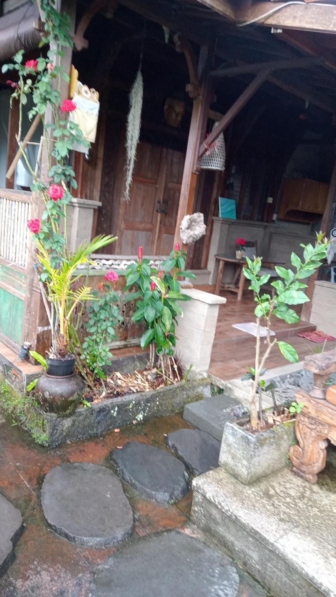 Joglo House Nagi * Ubud